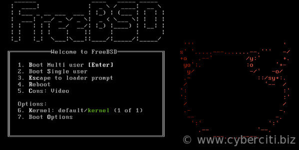 El instalador de FreeBSD arrancó desde el pendrive USB en Intel NUC