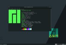 Linux Mint vs Manjaro