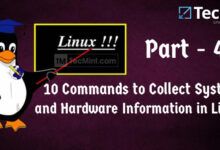 Check Hardware and System Information in Linux