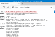 Primera versión estable del navegador Microsoft Edge para Linux