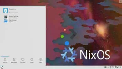 NixOS 21.11 disponible para descargar