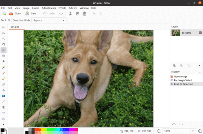 Lanzamiento del editor de gráficos y fotos Pinta 2.0