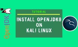 Instalar openjdk 8 en Kali Linux