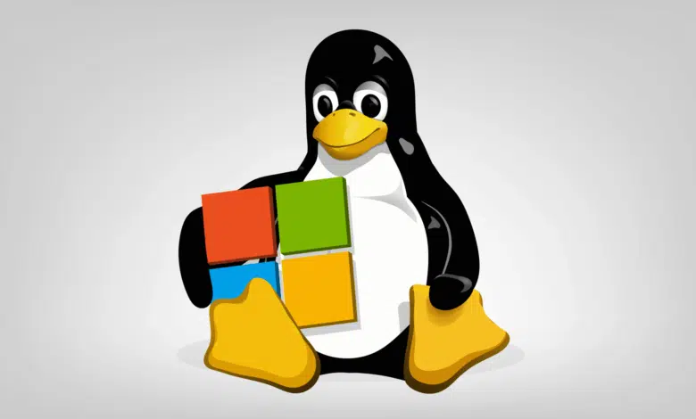 Microsoft is seeking to join Linux private security board