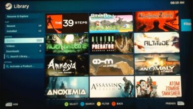 Mira a este YouTuber ejecutar Steam en su PS4