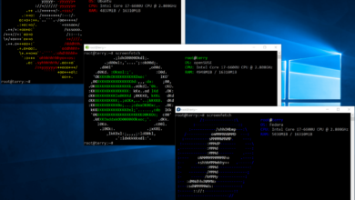 Ubuntu, SUSE, and Fedora are coming to the Windows Store