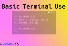 Kali Linux - Uso básico de la terminal