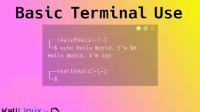 Kali Linux - Uso básico de la terminal