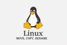Cómo copiar, mover y renombrar archivos en Linux (Guía paso a paso)