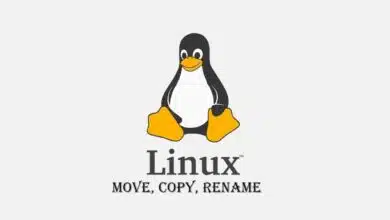 Cómo copiar, mover y renombrar archivos en Linux (Guía paso a paso)