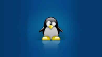 Master Linux programming with these 5 in-depth courses
