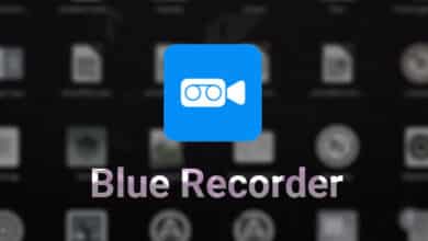Blue Recorder