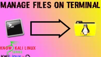 Administrar archivos usando la terminal