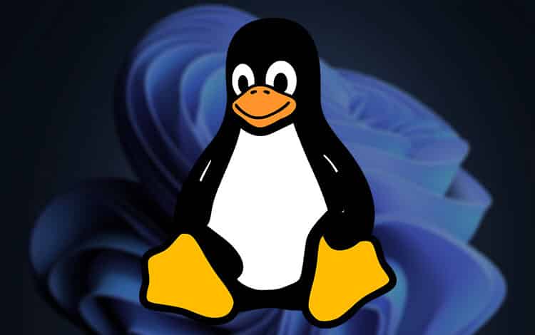 LinuxFX, the Linux distro looks identical to Windows 11 got a new update
