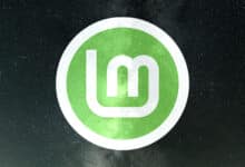 Linux Mint 21 Vanessa's details have been revealed