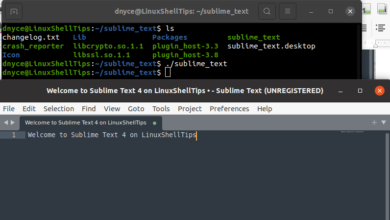 Inicie el editor de texto Sublime