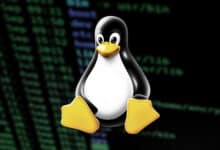 Linux netfilter firewall has a security hole