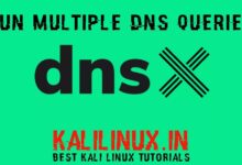 DNSX: ejecuta varias consultas de DNS