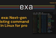 exa: comando de listado de próxima generación en Linux para profesionales