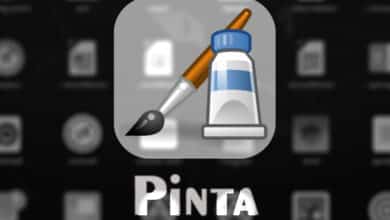 Snap app of the week Pinta