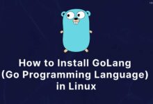 Cómo instalar GoLang (lenguaje de programación Go) en Ubuntu [5 Steps]