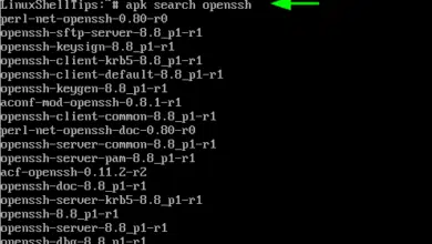 Localice el paquete OpenSSH en Alpine Linux