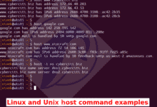Ejemplos de comandos de host de Linux y Unix