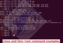 Ejemplos de comandos de host de Linux y Unix