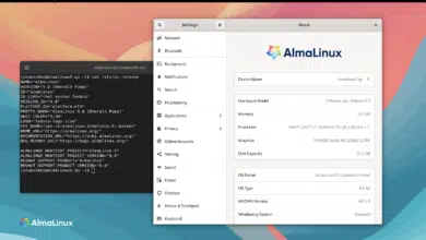 Lanzamiento oficial de AlmaLinux 9, basado en Red Hat Enterprise Linux 9