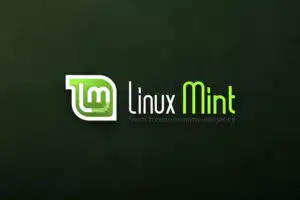 Linux Mint released a tool to upgrade to LMDE 5