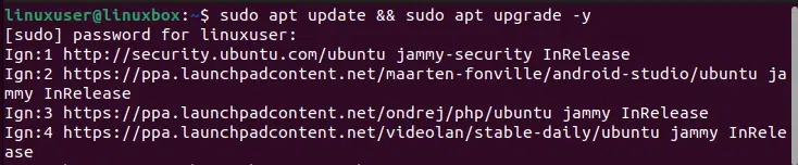 Cómo instalar Chromium en Ubuntu 22.04