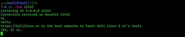 Chatear con netcat en Kali Linux