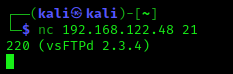 Raspado de banners con Netcat