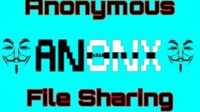 AnonX - Intercambio de archivos anónimo y encriptado