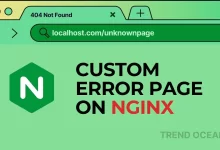 Cómo crear y configurar páginas de error 404 en NGINX