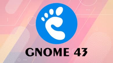 GNOME 43 will come with support for web apps in Software