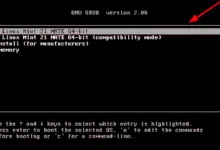 Linux Mint 21 versión MATE nuevas características e instalación