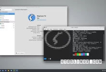 Neptune 7.5 se basa en Debian GNU/Linux 11.4 y funciona con Linux Kernel 5.18