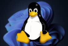 Windows Subsystem for Linux 0.65.1 is now available to Windows Insiders