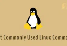 Los comandos de Linux más comunes que debe conocer