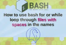 BASH Shell: nombres de archivos en bucle con espacios