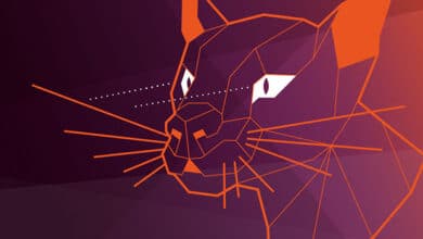 Ubuntu 'Focal Fossa' se centra en la seguridad empresarial