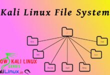 Sistema de archivos Kali Linux