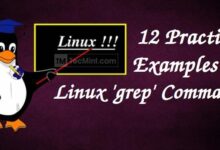 Cómo usar el comando Grep en Linux [12 Useful Examples]