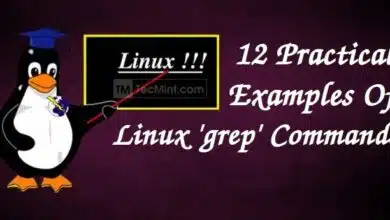 Cómo usar el comando Grep en Linux [12 Useful Examples]