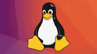 Debian and Ubuntu received kernel security updates