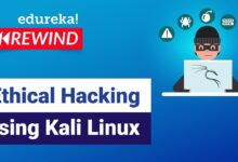 Hacking ético utilizando Kali Linux | Tutorial de hacking ético | Edurica | Rebobinado de seguridad cibernética - 3