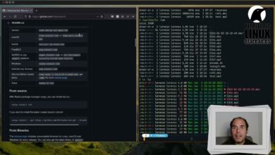 Una alternativa al comando tradicional Linux ls (LSDeluxe)