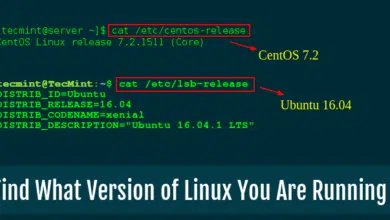 Cómo ver el nombre del sistema operativo Linux, la versión del kernel y la información