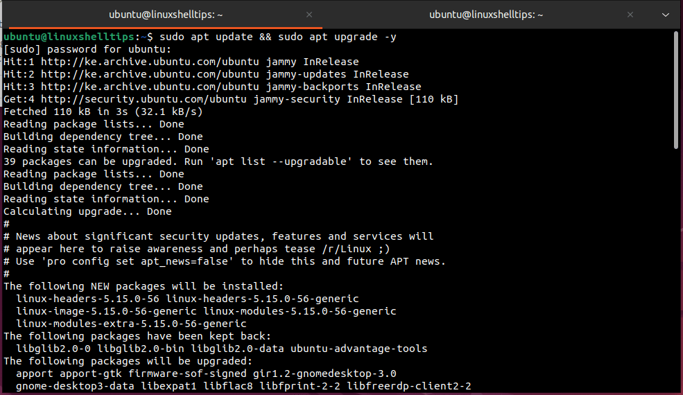 Actualice el caché del repositorio de Ubuntu